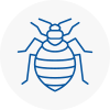 Bed Bug Extermination In Fleetwood